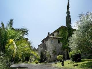 General view
 di Mas Salvanera