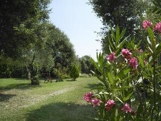 General view
 di Mas Salvanera