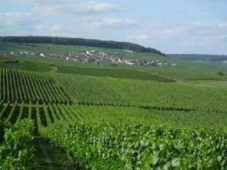 General view
 di Les Epicuriens, Chambres Dhotes