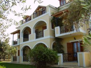 General view
 di Kavos Psarou Studios And Apartments