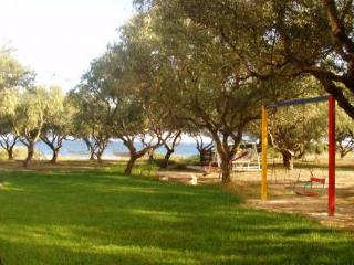 General view
 di Kavos Psarou Studios And Apartments