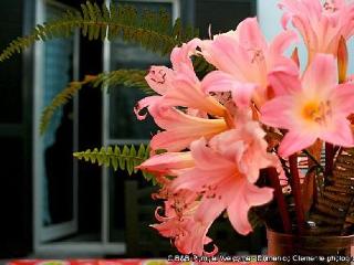 General view
 di Bed And Breakfast Pompei Welcome