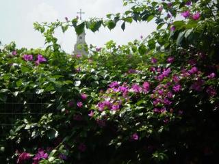 General view
 di Bed And Breakfast Pompei Welcome