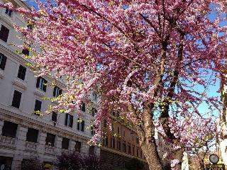 Vatican Vista Bed And Breakfast, Rome
