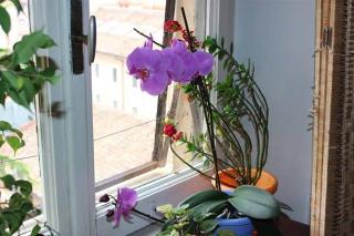 B&B Chez Liviana, Rome