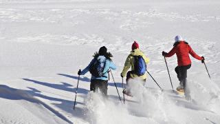 Shackleton Mountain Resort, Italian Alps