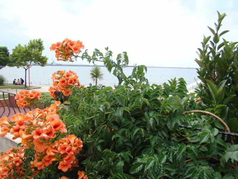 General view
 di Elif Otel