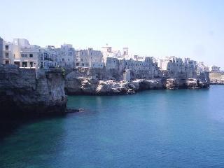 General view
 di Dei Serafini