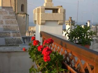 General view
 di Dei Serafini