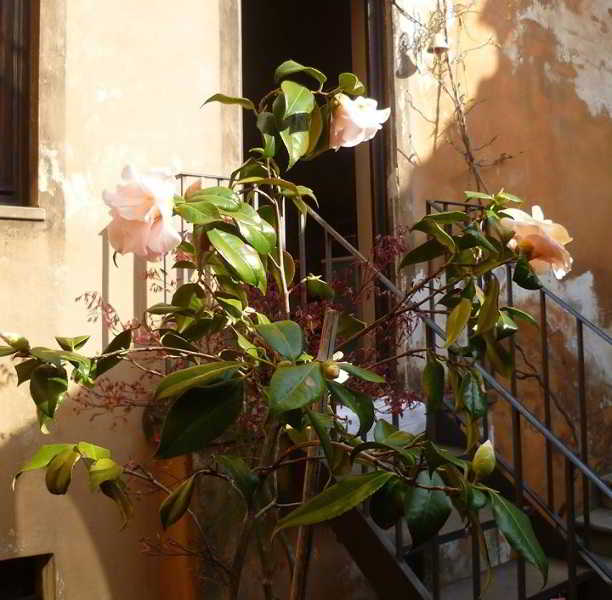 General view
 di Casabiancalana