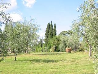 General view
 di Aia Country Holidays