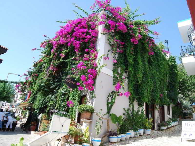 General view
 di Private Villa Kalkan