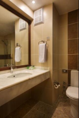 Dedeman Palandoken Resort