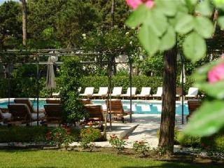 General view
 di Greif