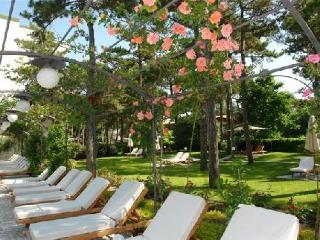 General view
 di Greif