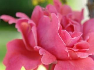 General view
 di Greif