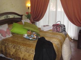 General view
 di Via Palazzo