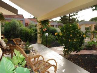 General view
 di B&B I Gerani