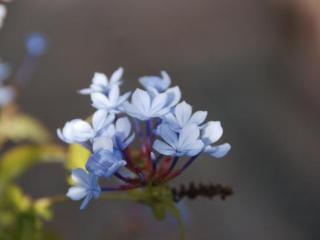 General view
 di Riad Sidi Fatah