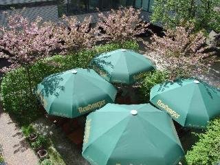 Terrace thumbnail 17