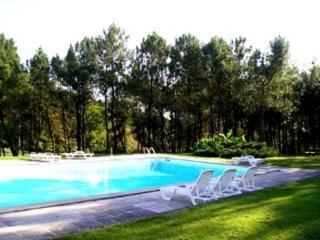 General view
 di Manoir Du Grand Vignoble