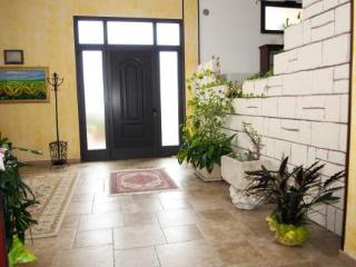 General view
 di B&B OLIMPO