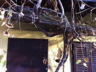 General view
 di FLAT SMILE