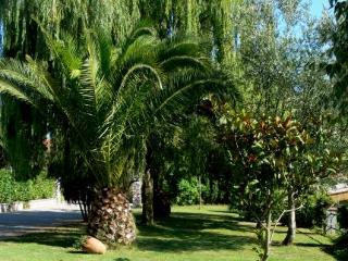General view
 di Villamirella