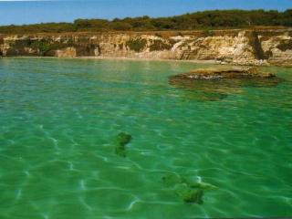 General view
 di Villaggio Conca Specchiulla