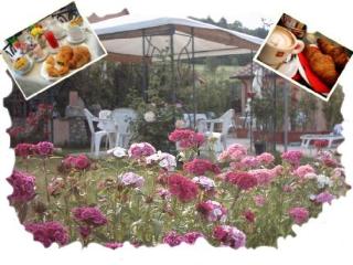 General view
 di Holiday Pergolato Di Sotto