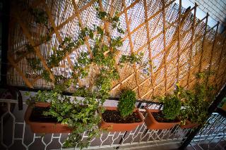 B&B Villa Adriana, Rome