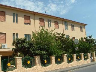 General view
 di La Mimosa