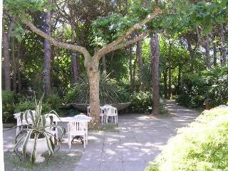 General view
 di Hotel Valdor