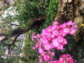 Green Park Hotel, Rome