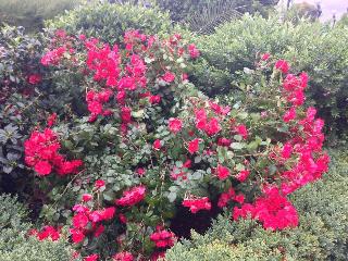 Green Park Hotel, Rome