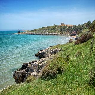 Hotel Palme Gemelle, Puglia