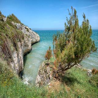 Hotel Palme Gemelle, Puglia