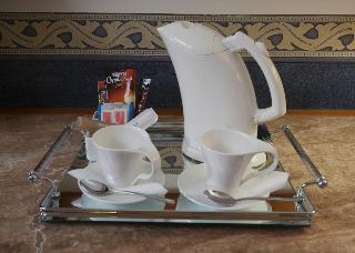 Starhotels Vespucci, Florence