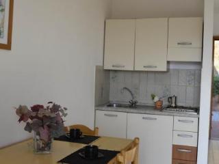 General view
 di Elbamar Lacona