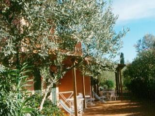 General view
 di Elbamar Lacona