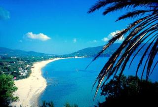 Elbamar Lacona, Livorno