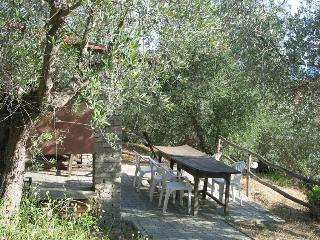 Elbamar Lacona, Livorno