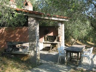 Elbamar Lacona, Livorno