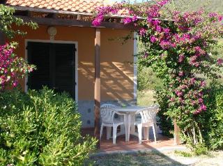 Terrace
 di Elbamar Lacona