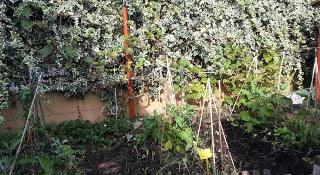 Girasolereale Bed And Breakfast, Rome