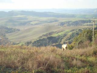 General view
 di La Fiaba At Belmonte