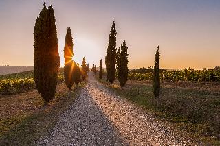 Fattoria Pratale, Florence