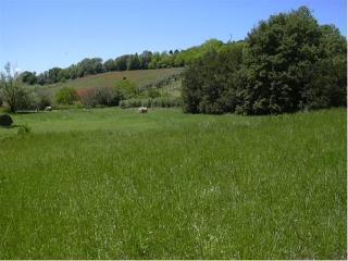 Agriturismo Le Cicale, Abruzzo