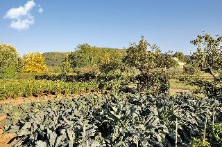 Villa La Massa, Florence