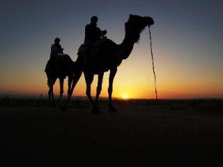 General view
 di La Perle Du Draa